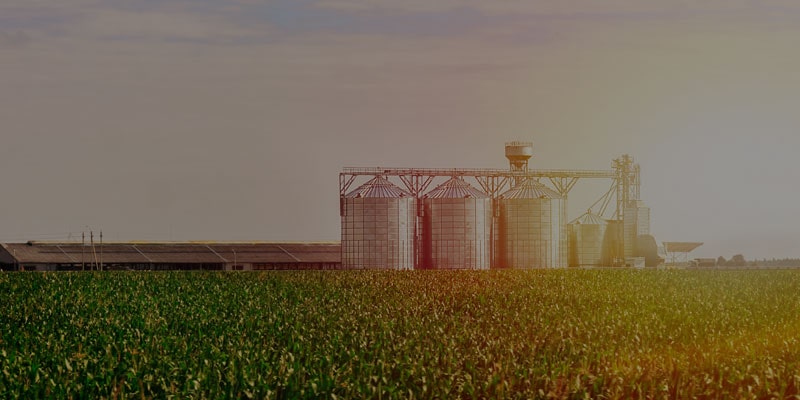 农工的物流规划与仿真